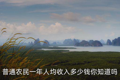 亳州農民收入多少,普通農民一年人均收入多少錢