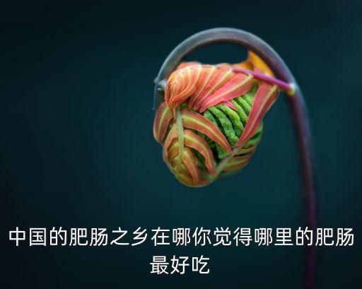 中國的肥腸之鄉在哪你覺得哪里的肥腸最好吃