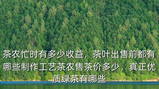 六安茶農一年收入多少,茶農忙時有多少收益