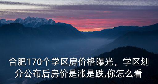 合肥170個學區房價格曝光，學區劃分公布后房價是漲是跌,你怎么看