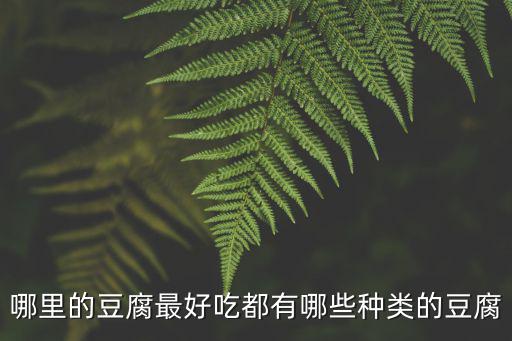 四川劍門豆腐哪里好吃,哪里的豆腐最好吃