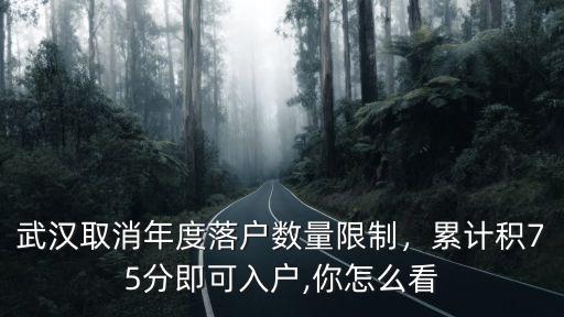 武漢取消年度落戶數量限制，累計積75分即可入戶,你怎么看