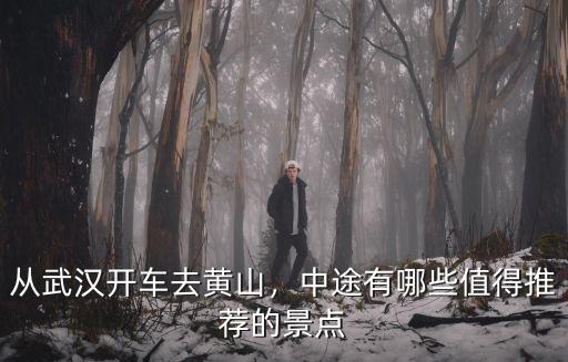 從黃山去武漢有多少公里,從武漢開車去黃山