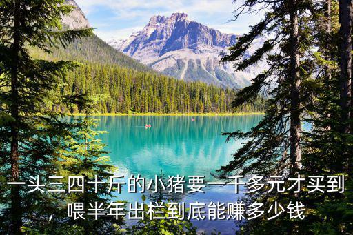 今天鄭州小豬賣多少錢一頭,2019仔豬多少錢一頭