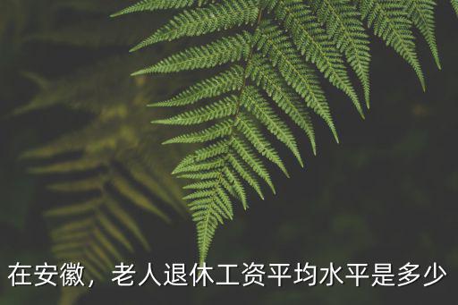 在安徽，老人退休工資平均水平是多少