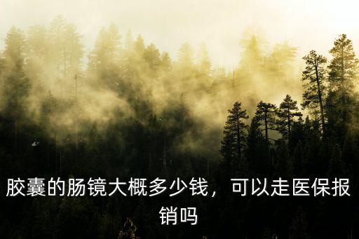 膠囊的腸鏡大概多少錢，可以走醫保報銷嗎