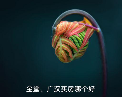 成都金堂住房哪里最好,成都哪里買房子比較好