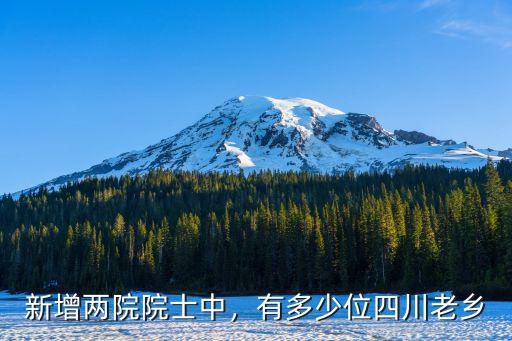 新增兩院院士中，有多少位四川老鄉(xiāng)