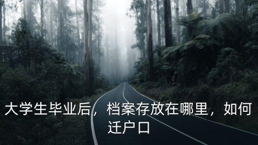 周口市大學生檔案放在哪里,檔案存放在哪里