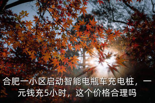 合肥一小區啟動智能電瓶車充電樁，一元錢充5小時，這個價格合理嗎