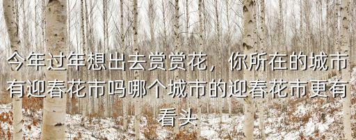 四川迎春花市在哪里,你所在的城市有迎春花市嗎