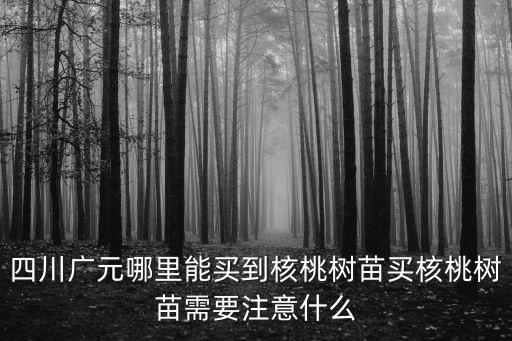 四川哪里有核桃樹苗,哪里可以買到核桃樹苗