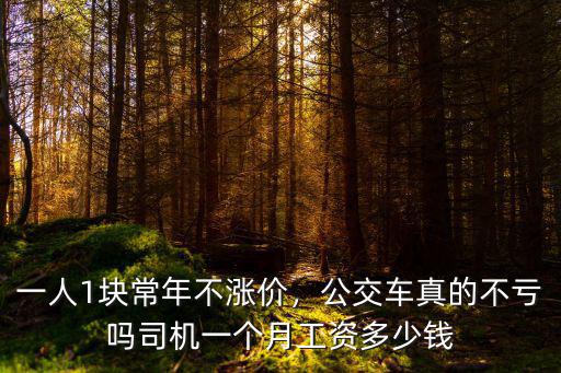 合肥公交司機一個月工資多少錢,公交車司機收入多少