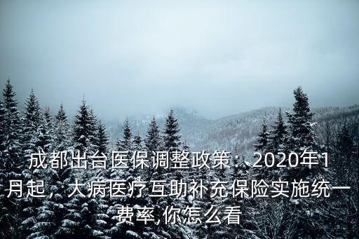 成都出臺醫保調整政策：2020年1月起，大病醫療互助補充保險實施統一費率,你怎么看