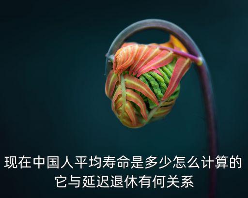 邯鄲人口平均壽命多少,人的平均壽命是多少歲