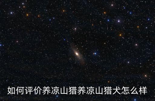 涼山哪里有獵犬多,涼山犬這種獵犬哪里有