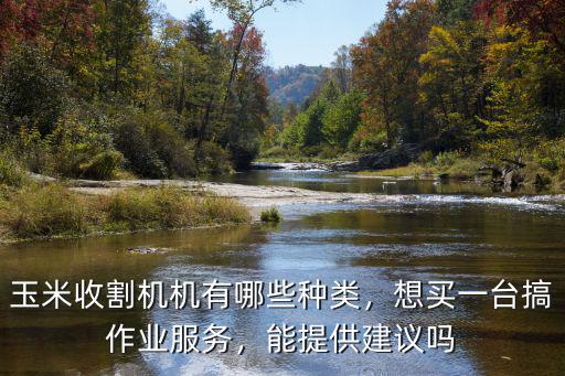 河北博遠(yuǎn)玉米收割機(jī)一臺(tái)多少錢,手扶式玉米收割機(jī)多少錢一臺(tái)