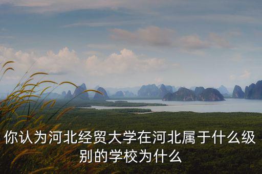 你認為河北經貿大學在河北屬于什么級別的學校為什么