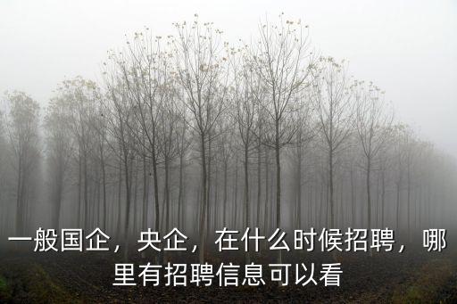 一般國企，央企，在什么時候招聘，哪里有招聘信息可以看
