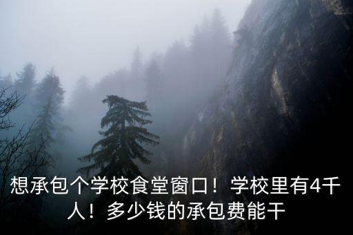 亳州學院有多少個食堂窗口,在大學食堂包窗口賺錢嗎