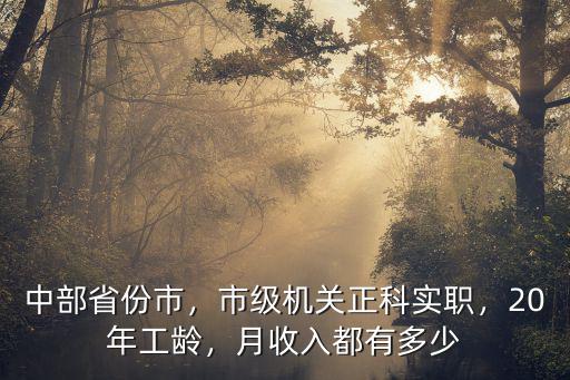 中部省份市，市級機關正科實職，20年工齡，月收入都有多少