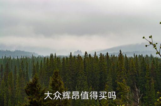 大眾輝昂在瀘州哪里買,大眾輝昂值得買嗎