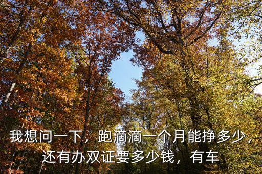 我想問一下，跑滴滴一個月能掙多少，還有辦雙證要多少錢，有車