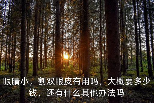 眼睛小，割雙眼皮有用嗎，大概要多少錢，還有什么其他辦法嗎