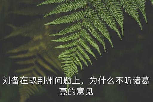 劉備怎么取荊州的,劉備在取荊州問題上