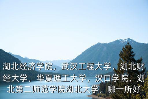 湖北經濟學院，武漢工程大學，湖北財經大學，華夏理工大學，漢口學院，湖北第二師范學院湖北大學，哪一所好