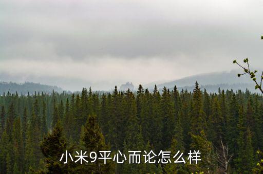 湖北小米手機(jī)怎么樣,小米9平心而論怎么樣
