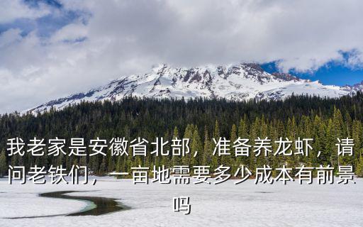 安徽養(yǎng)明蝦一畝一般賺多少,養(yǎng)蝦一畝一般賺多少