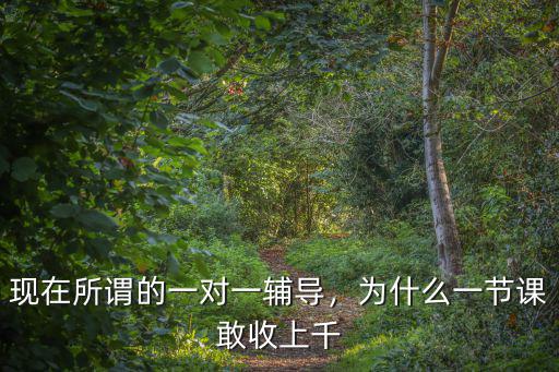 宣城一對一家教多少錢一節課,一般一小時多少錢