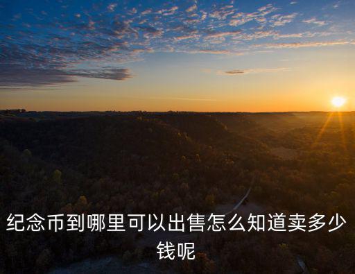 紀念幣在哪里交易瀘州,請問大家紀念幣在哪里交易