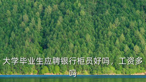 大學(xué)畢業(yè)生應(yīng)聘銀行柜員好嗎，工資多嗎