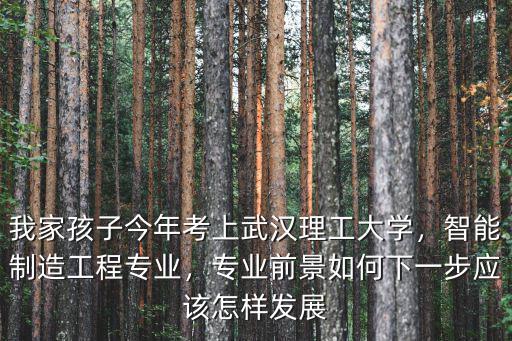 我家孩子今年考上武漢理工大學，智能制造工程專業，專業前景如何下一步應該怎樣發展