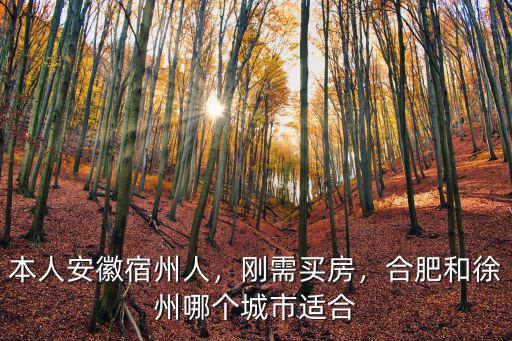 安徽徐州到宿州多少公里,宿州和徐州有多近
