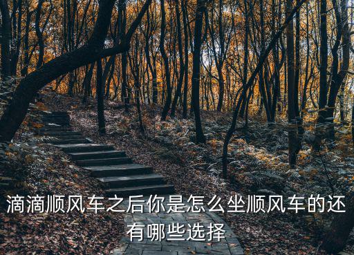 成都滴滴順風車在哪里,滴滴順風車成都片區