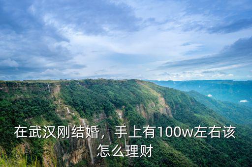 在武漢剛結(jié)婚，手上有100w左右該怎么理財