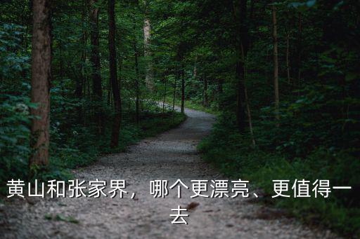 黃山和張家界，哪個更漂亮、更值得一去