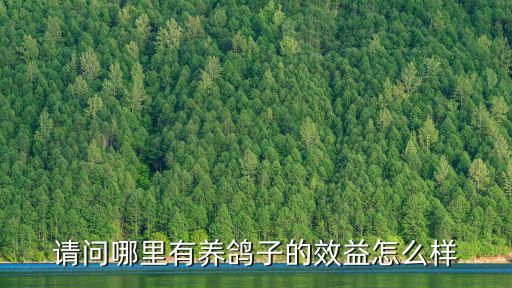 請問哪里有養鴿子的效益怎么樣