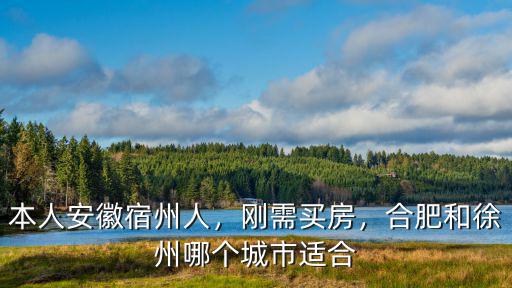 本人安徽宿州人，剛需買房，合肥和徐州哪個城市適合
