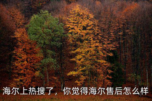 襄陽海爾的售后怎么樣,你覺得海爾的售后怎么樣