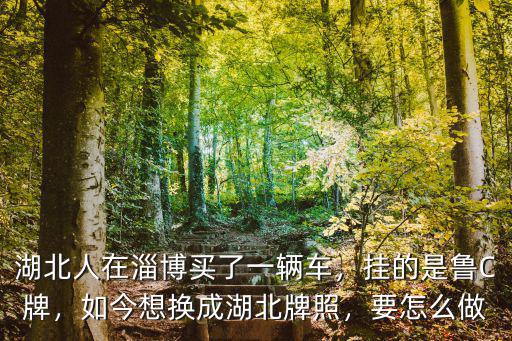 湖北潛江的牌照換武漢牌照怎么弄,如今想換成湖北牌照