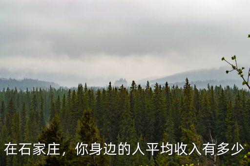 石家莊的人均收入是多少,石家莊平均工資多少