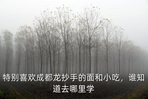 特別喜歡成都龍抄手的面和小吃，誰知道去哪里學
