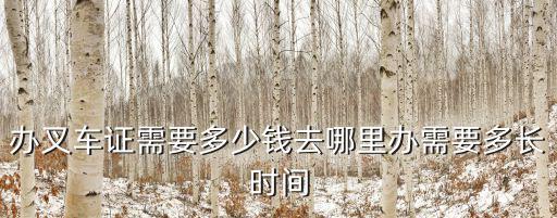 安徽淮南叉車證要多少錢,辦叉車證需要多少錢