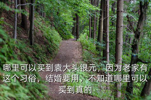 廣安市哪里可以買到開國紀念幣,哪里可以買到袁大頭銀元