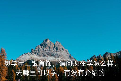 想學手工銀首飾，請問現在學怎么樣，去哪里可以學，有沒有介紹的