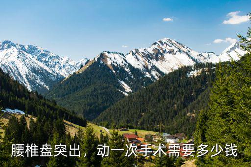 腰椎盤突出，動(dòng)一次手術(shù)需要多少錢